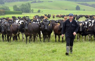 hands on rural training