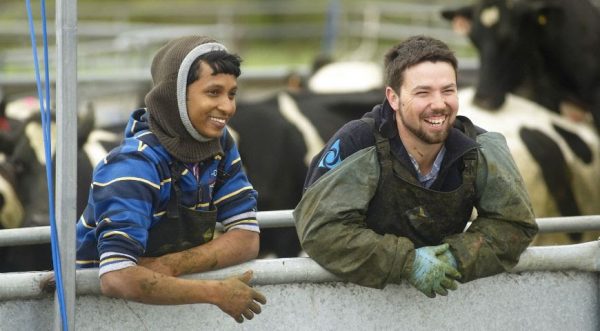 hands on rural training