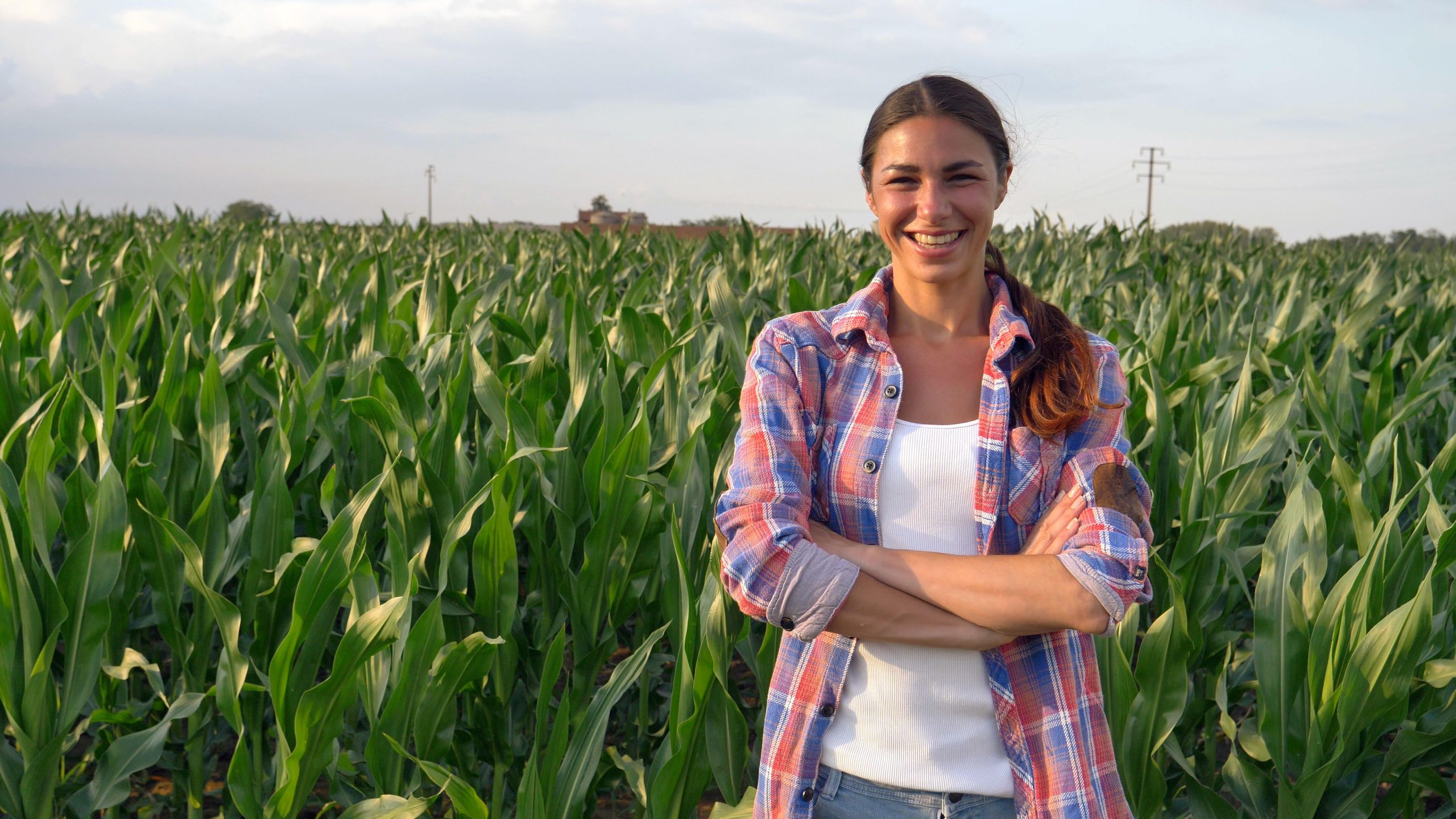 Rural kiwis swipe right for country love on new farmer dating app