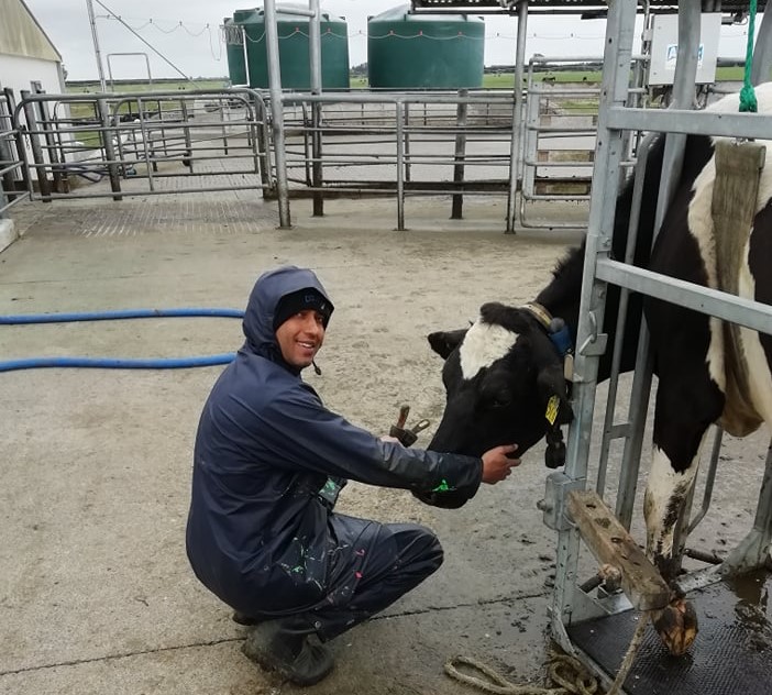misconceptions about dairy farming as a career misconceptions about dairy farming as a career
